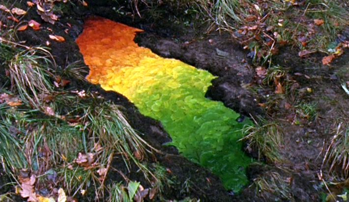 andy goldsworthy fall leaves