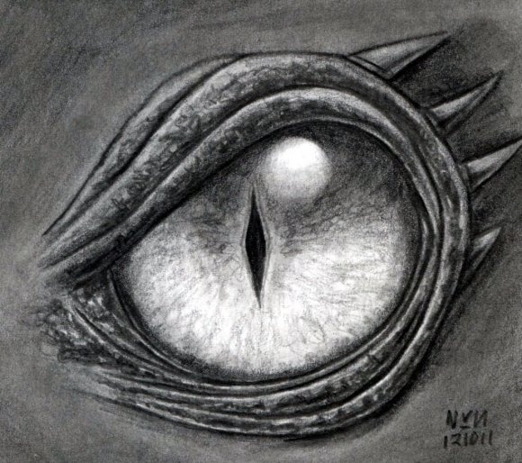 How to Draw Animal Eyes | Envato Tuts+
